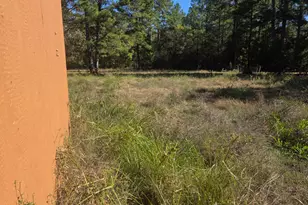 633 Ira Denson Rd, Coldspring, TX 77331 - Photo 25