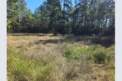 633 Ira Denson Road, Coldspring, TX 77331 - Photo 21