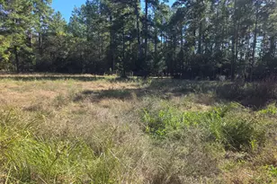 633 Ira Denson Rd, Coldspring, TX 77331 - Photo 21