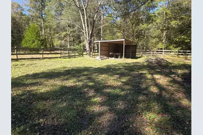 633 Ira Denson Road, Coldspring, TX 77331 - Photo 9