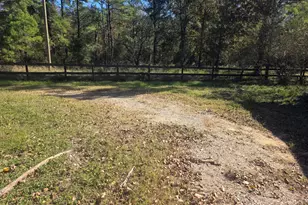 633 Ira Denson Rd, Coldspring, TX 77331 - Photo 5