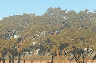 6110 Pokealong Path, Lago Vista, TX 78645 - Photo 29