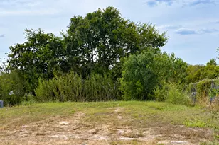 274 College St, Anderson, TX 77830 - Photo 1