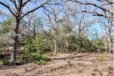 1485 Davis Road, Muldoon, TX 78949 - Photo 21