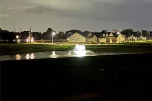 320 Legacy Pt Dr, Sealy, TX 77474 - Photo 19