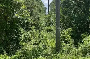 13994 Walker Rd, Conroe, TX 77302 - Photo 5