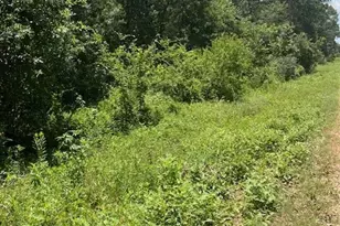 13994 Walker Rd, Conroe, TX 77302 - Photo 3