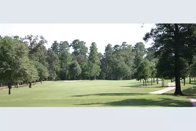 21307 Russell Chase Drive, Porter, TX 77365 - Photo 39