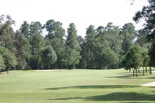 21307 Russell Chase Dr, Porter, TX 77365 - Photo 39