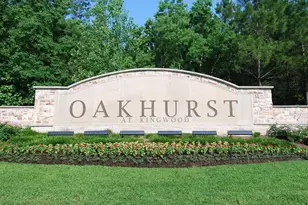 21307 Russell Chase Dr, Porter, TX 77365 - Photo 37