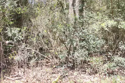 0 Knotty Pine Lane, Huntsville, TX 77340 - Photo 1