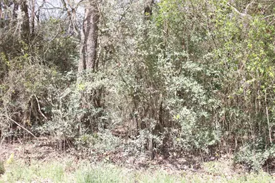 0 Knotty Pine Lane, Huntsville, TX 77340 - Photo 5