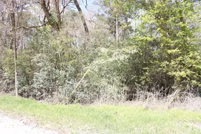 0 Knotty Pine Lane, Huntsville, TX 77340 - Photo 7