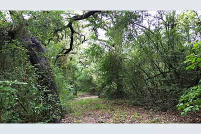 Tbd County Road 217, Weimar, TX 78962 - Photo 15