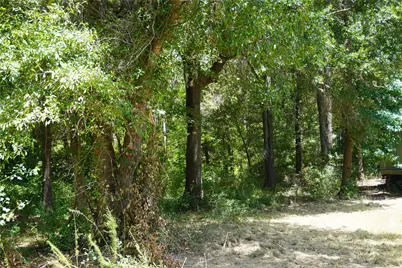 4733 Fm 943, Livingston, TX 77351 - Photo 31