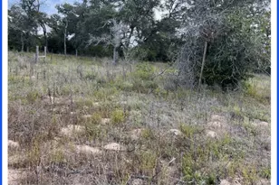 205 Beehaven Ln Rd, Seguin, TX 78155 - Photo 7