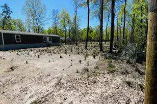 30 Hellon Ln, Shepherd, TX 77371 - Photo 13