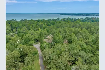 Tbd Commodore and Brame Drive, Livingston, TX 77351 - Photo 5