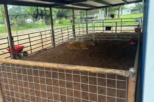 24954 Bailey Grove Rd, Montgomery, TX 77356 - Photo 3