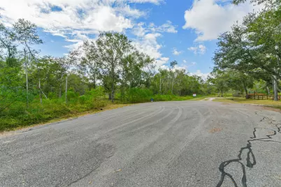 0 Live Oak St, Damon, TX 77430 - Photo 19