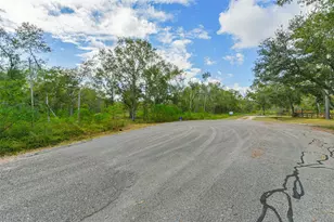 0 Live Oak St, Damon, TX 77430 - Photo 19