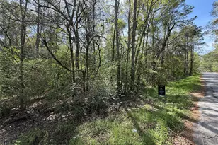 Tbd Walker Dr, Conroe, TX 77303 - Photo 1