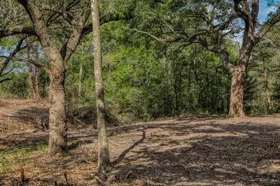 Tract 4 Sun Oil Road, Brenham, TX 77833 - Photo 15