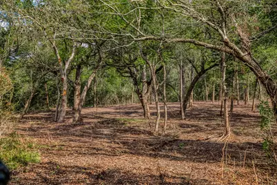 Tract 4 Sun Oil Road, Brenham, TX 77833 - Photo 21