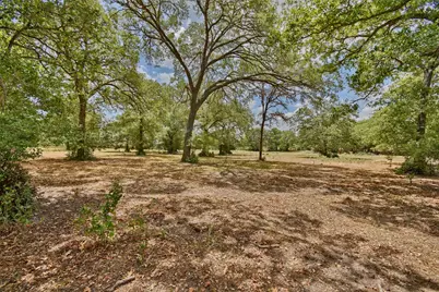 0 Mt Vernon Road, Brenham, TX 77833 - Photo 9