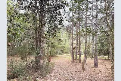 297 County Road 4479, Warren, TX 77664 - Photo 21