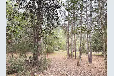 297 County Road 4479, Warren, TX 77664 - Photo 21