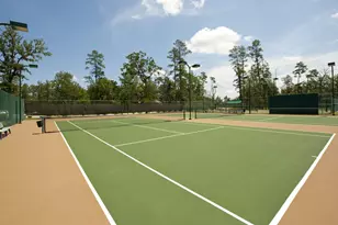 27402 W Balsam Fir, Spring, TX 77386 - Photo 49