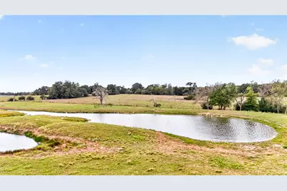 5161 Greenbriar Road, Madisonville, TX 77864 - Photo 13