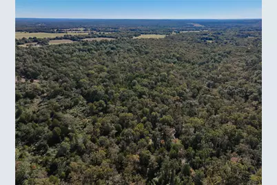 Na Cr 325, Jewett, TX 75846 - Photo 13
