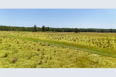 405 County Road 3000, Woodville, TX 75979 - Photo 11