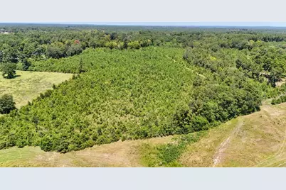 405 County Road 3000, Woodville, TX 75979 - Photo 37