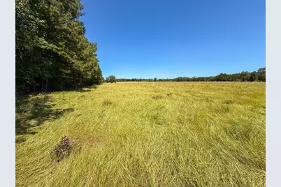 405 County Road 3000, Woodville, TX 75979 - Photo 7