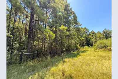 405 County Road 3000, Woodville, TX 75979 - Photo 19