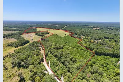 405 County Road 3000, Woodville, TX 75979 - Photo 5