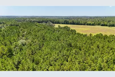 405 County Road 3000, Woodville, TX 75979 - Photo 31
