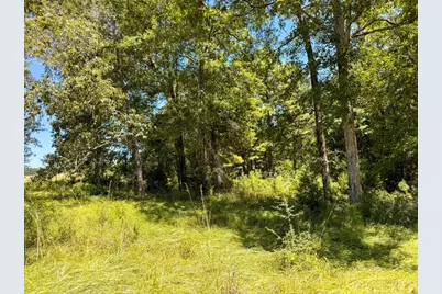 405 County Road 3000, Woodville, TX 75979 - Photo 17