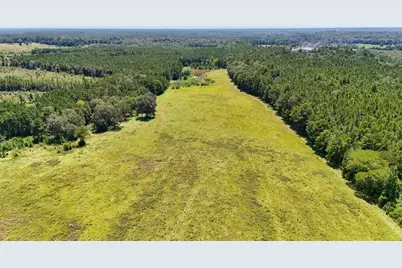 405 County Road 3000, Woodville, TX 75979 - Photo 13