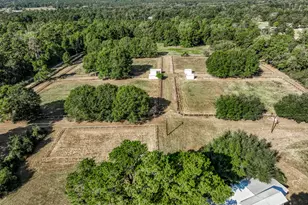 3927 N Fm 1486 Rd, Montgomery, TX 77356 - Photo 21