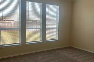 30014 Twisting Springs Dr, Fulshear, TX 77423 - Photo 21