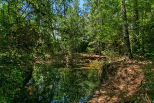 9195 Co Rd 207, Plantersville, TX 77363 - Photo 45