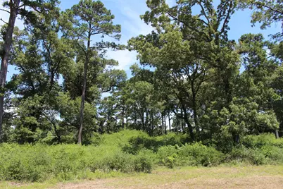 Tract 16 Pr 1313, Centerville, TX 75833 - Photo 19
