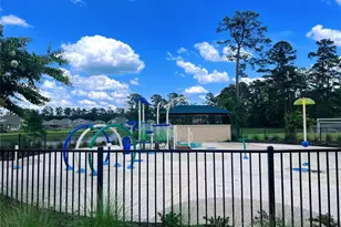 126 Courageous Side Way, Magnolia, TX 77354 - Photo 25