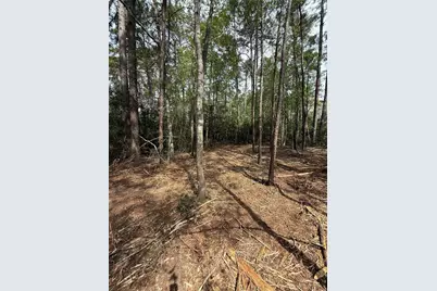 Tbd Roughneck Road, Conroe, TX 77306 - Photo 5