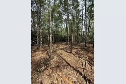 Tbd Roughneck Road, Conroe, TX 77306 - Photo 1