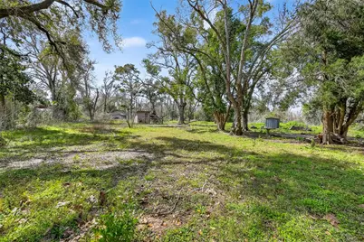 7411 Highway 36, Jones Creek, TX 77541 - Photo 23